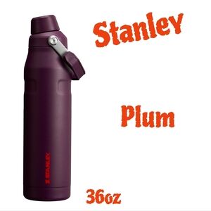 Stanley IceFlow Fast Flow Water Bottle "Plum" 36OZ NEW